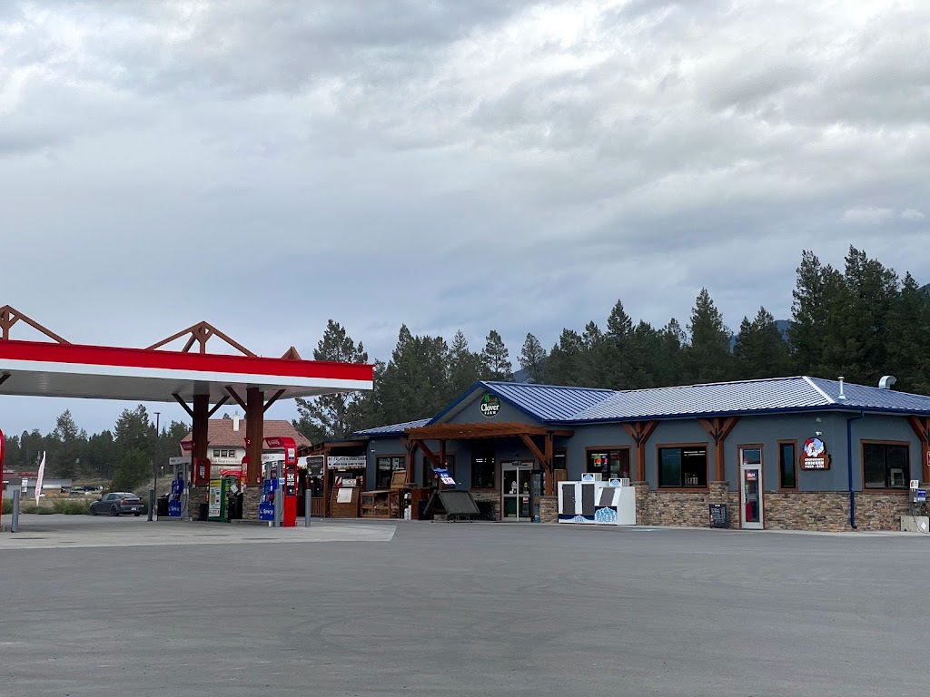 Tesla Supercharger | 548 BC-93, Invermere, BC V0A 1K2, Canada | Phone: (877) 798-3752