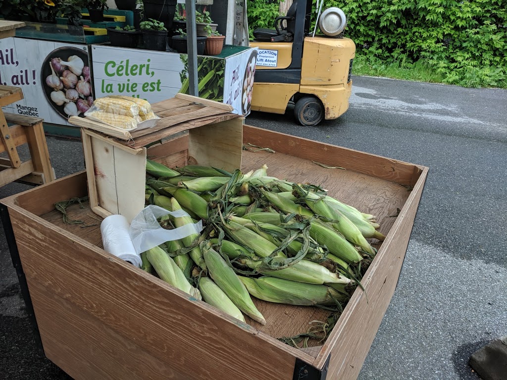 Legumylene | 395 Rue Cherrier, LÎle-Bizard, QC H9C 2R5, Canada