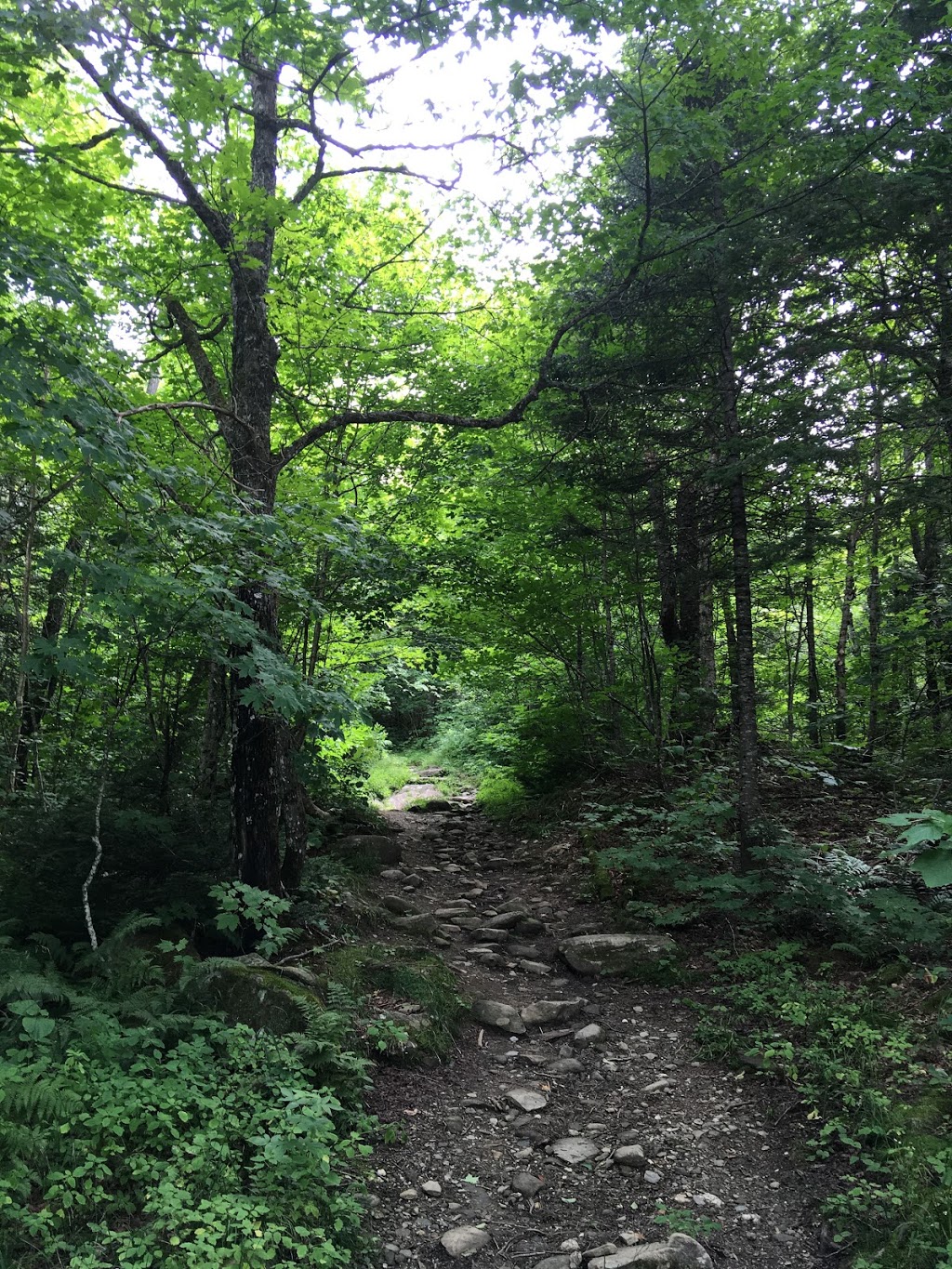 Mt.Magalloway Trailhead | Tower Rd, Pittsburg, NH 03592, USA