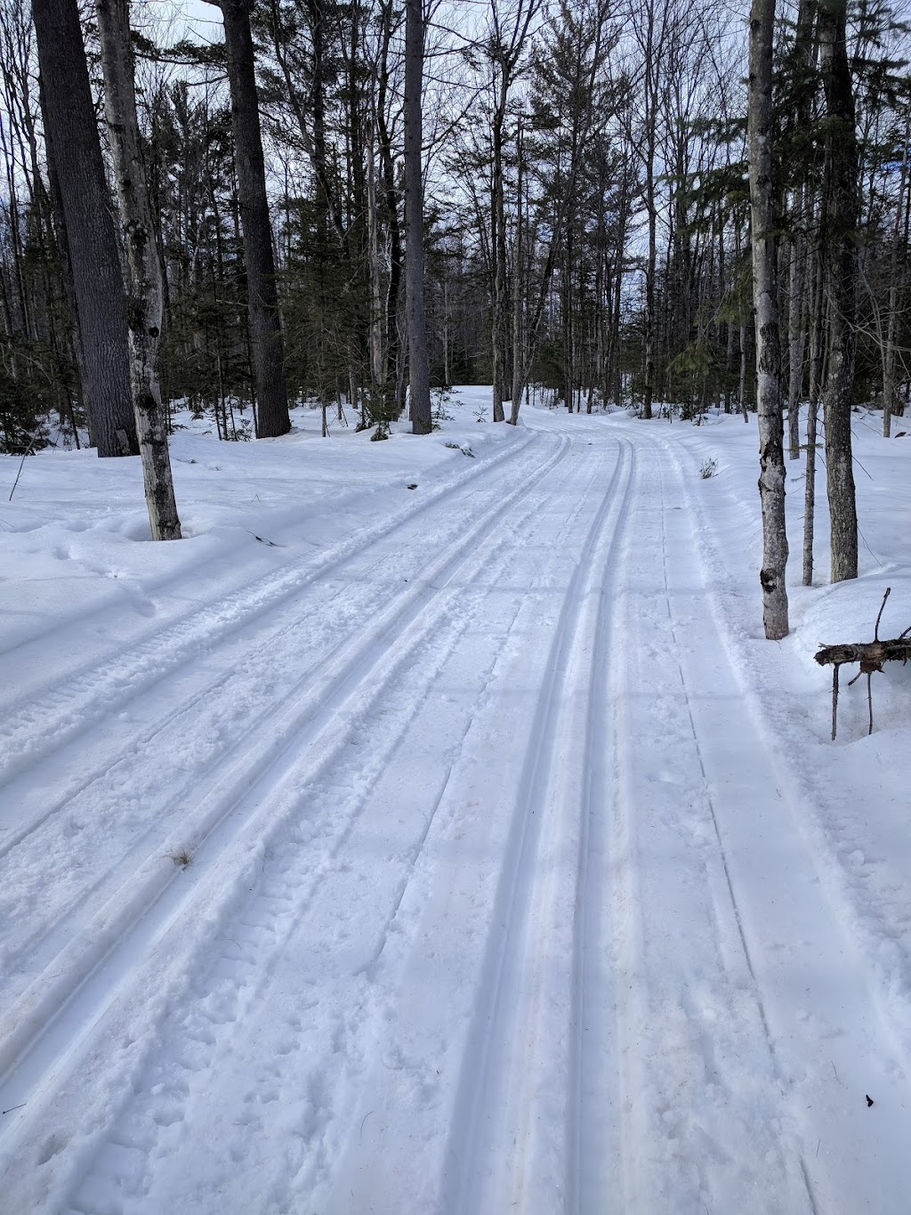 Club de Ski Bord de lEau | 96 Rte du Président-Kennedy, Saint-Henri, QC G0R 3E0, Canada | Phone: (418) 882-0639