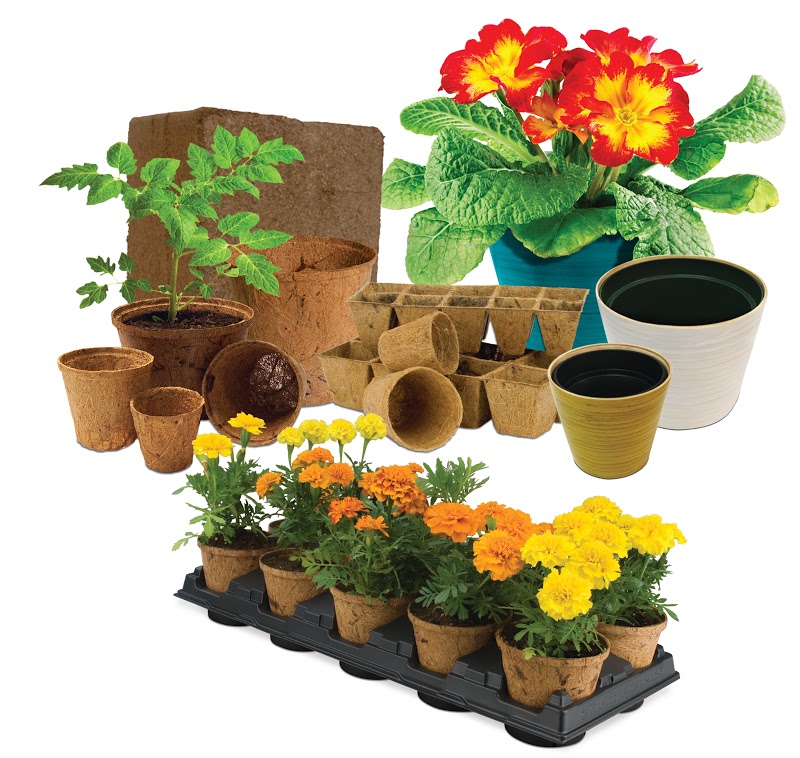 PlantBest, Inc. | 170 Duffield Dr #100, Markham, ON L6G 1B5, Canada | Phone: (905) 470-0724