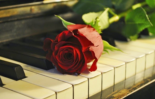 Sage Piano Studio | 2595 Affirmed Pl, Victoria, BC V9B 6W5, Canada | Phone: (250) 213-7883