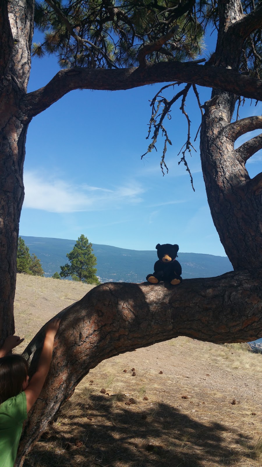 Giants Head Hike Parking | Summerland, BC V0H 1Z2, Canada