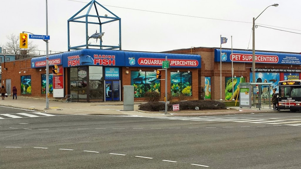 Big Als Aquarium & Pet Supercentres - Scarborough | 1295 Kennedy Rd, Scarborough, ON M1P 2L4, Canada | Phone: (416) 757-3281