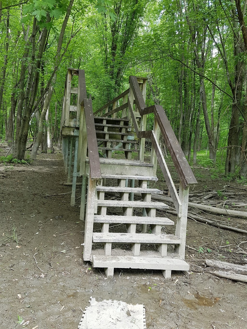 Réserve naturelle de Pointe-Yamachiche | Yamachiche, QC G0X 3L0, Canada