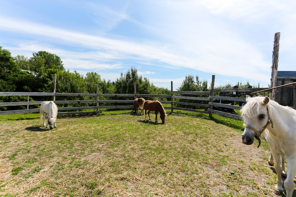 Fraisiere Du Verger Pierre | 375 Rang de la Montagne, Mont-Saint-Grégoire, QC J0J 1K0, Canada | Phone: (450) 347-6336