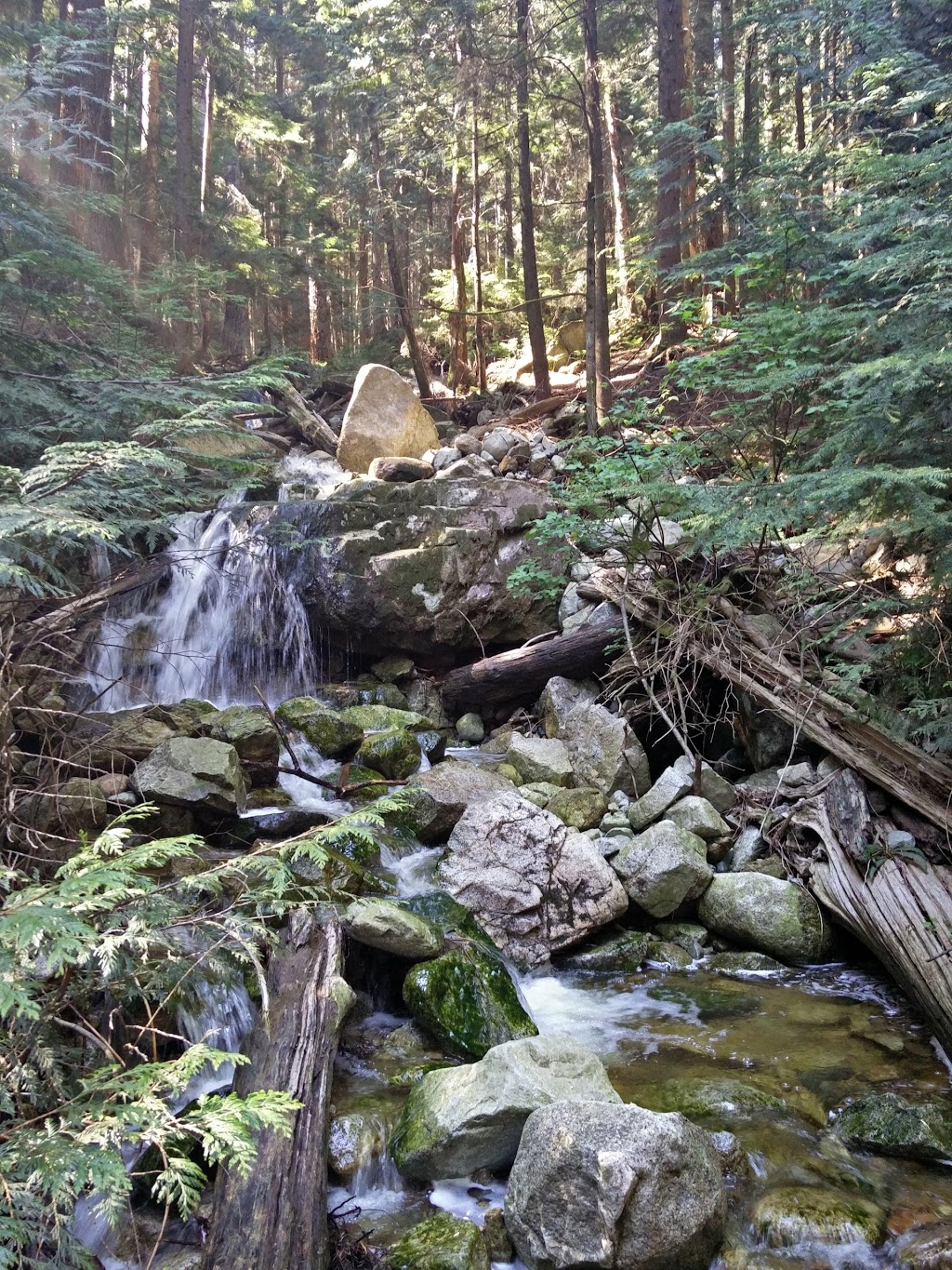 Braemar Park Reservoir | North Vancouver, BC V7N 1R3, Canada