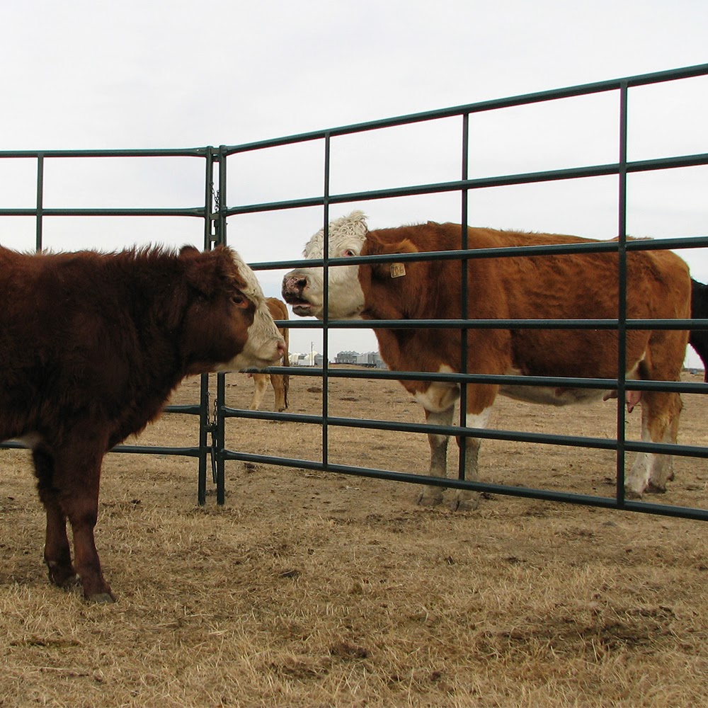 Hi-Hog Farm & Ranch Equipment Ltd. | 8447 23 Ave NE, Calgary, AB T1Y 7G9, Canada | Phone: (403) 280-8300