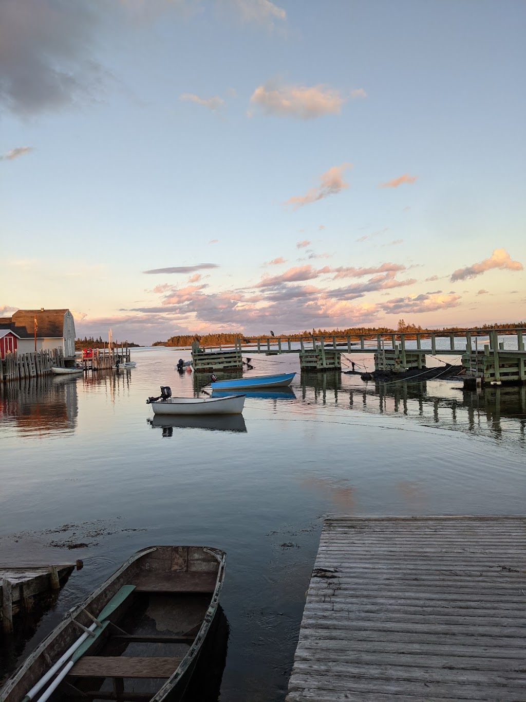 Seaweed Tours Lunenburg N.S. | 60 Bluenose Dr, Lunenburg, NS B0J 2C0, Canada | Phone: (902) 529-1052