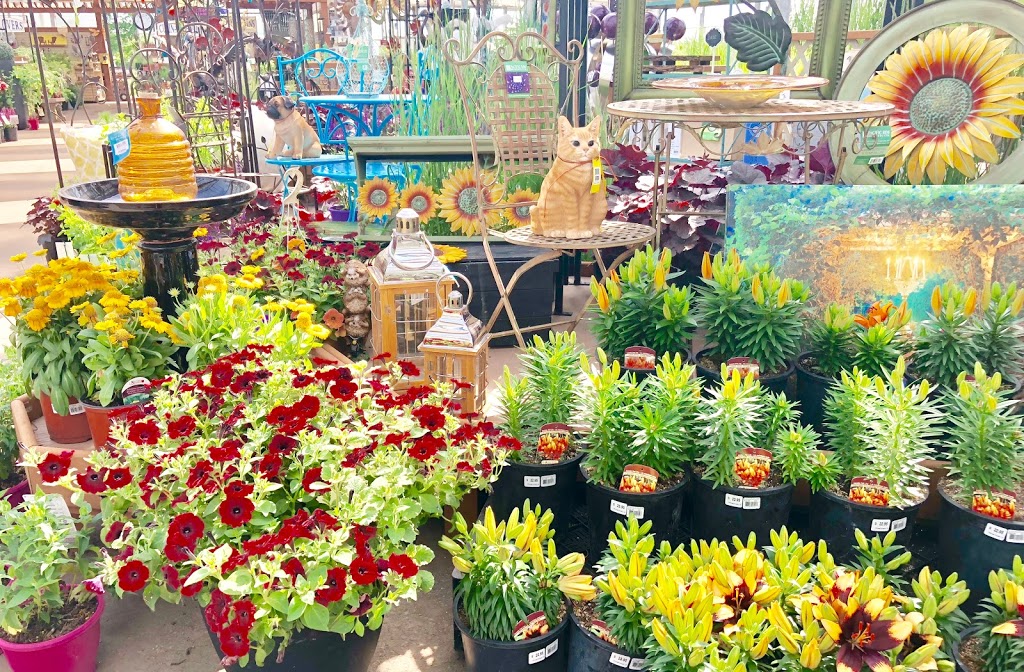 Millcreek Nursery Ltd | 3103 17 St NW, Edmonton, AB T6T 1H9, Canada | Phone: (780) 469-8733