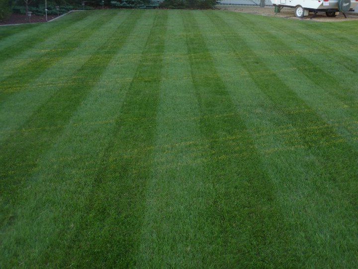 Scotts Quality Lawn Care | 5234 46 St, Camrose, AB T4V 1H3, Canada | Phone: (780) 678-6450