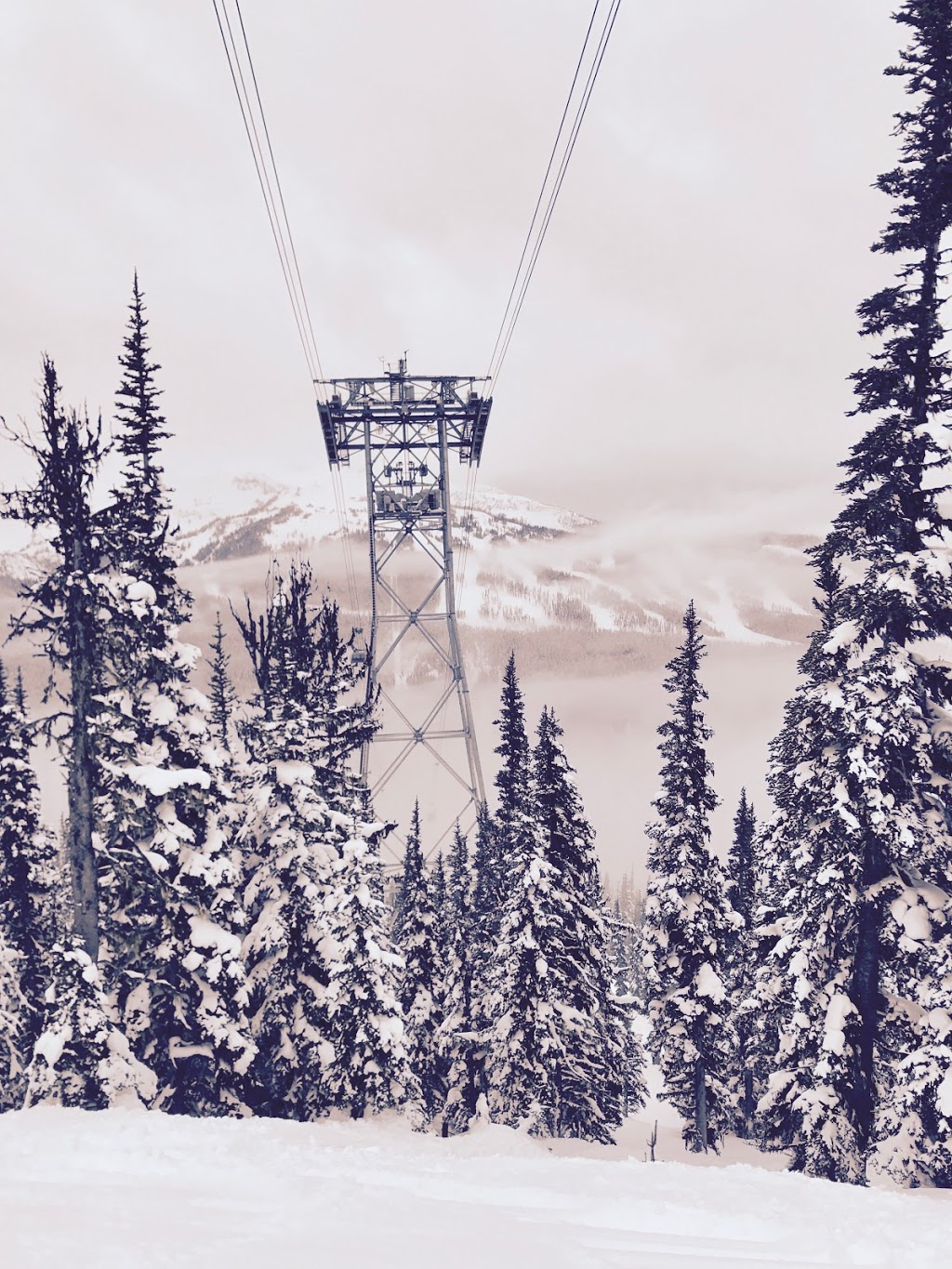 Catskinner Chairlift | Whistler, BC V0N 1B4, Canada | Phone: (604) 905-2234