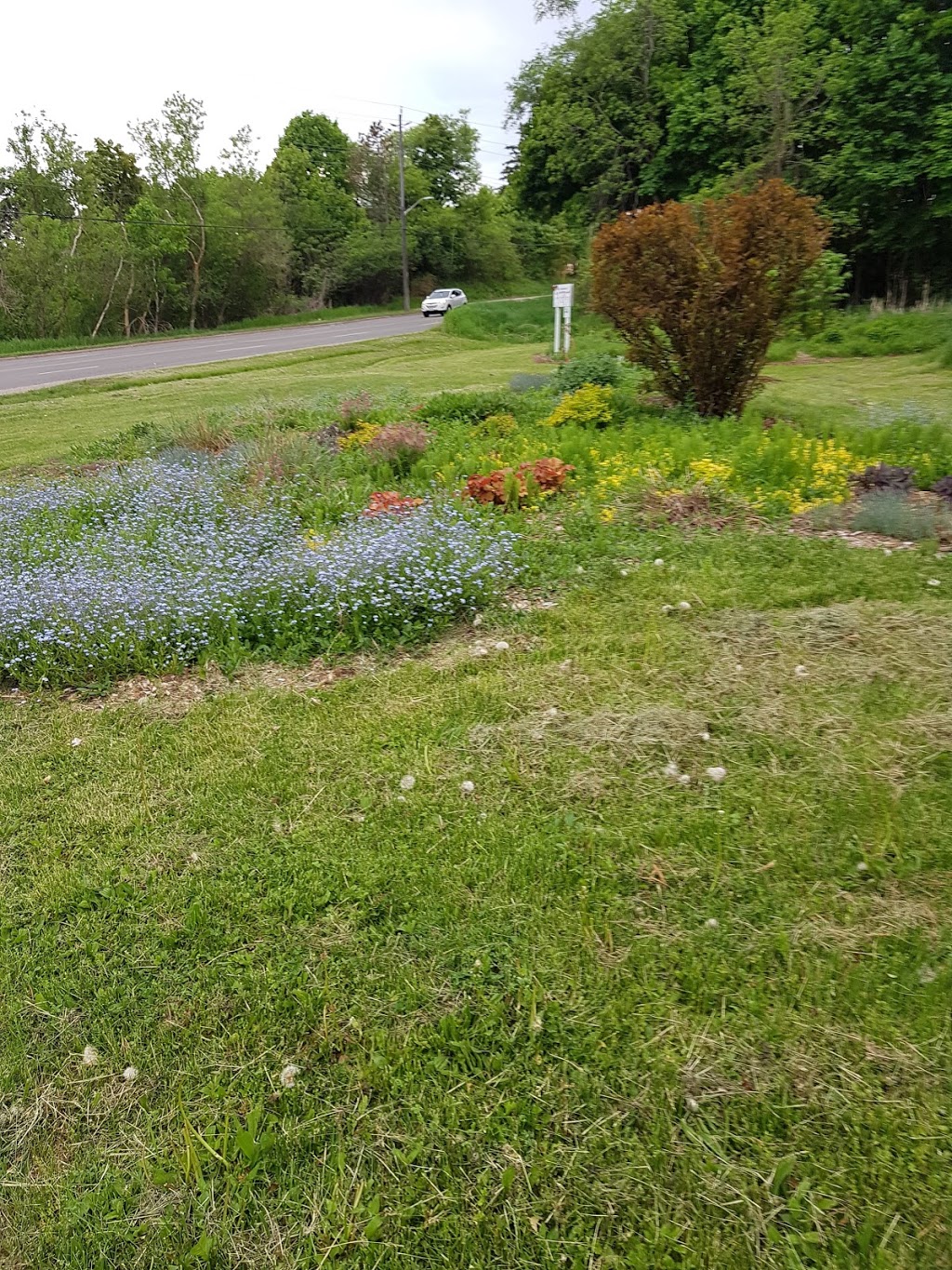 Monarch Waystation Butterfly Garden | Northglen, Oshawa, ON L1J 5A3, Canada