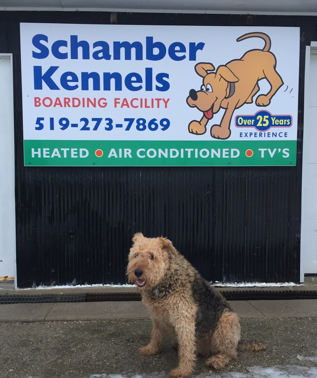 Schamber Kennels | 2580 45 Line, Gads Hill, ON N0K 1J0, Canada | Phone: (519) 273-7869