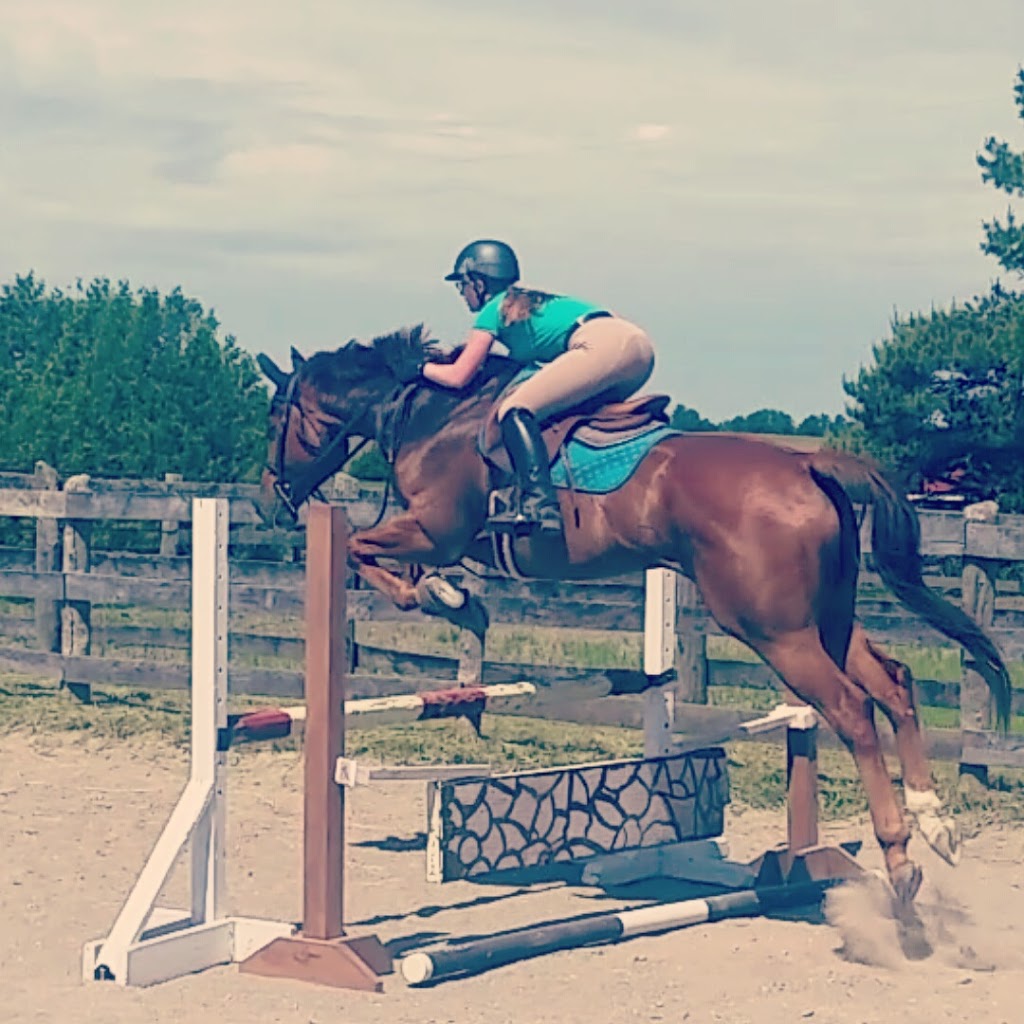 Reymwood Equestrian | Guelph, ON N1H 6J3, Canada