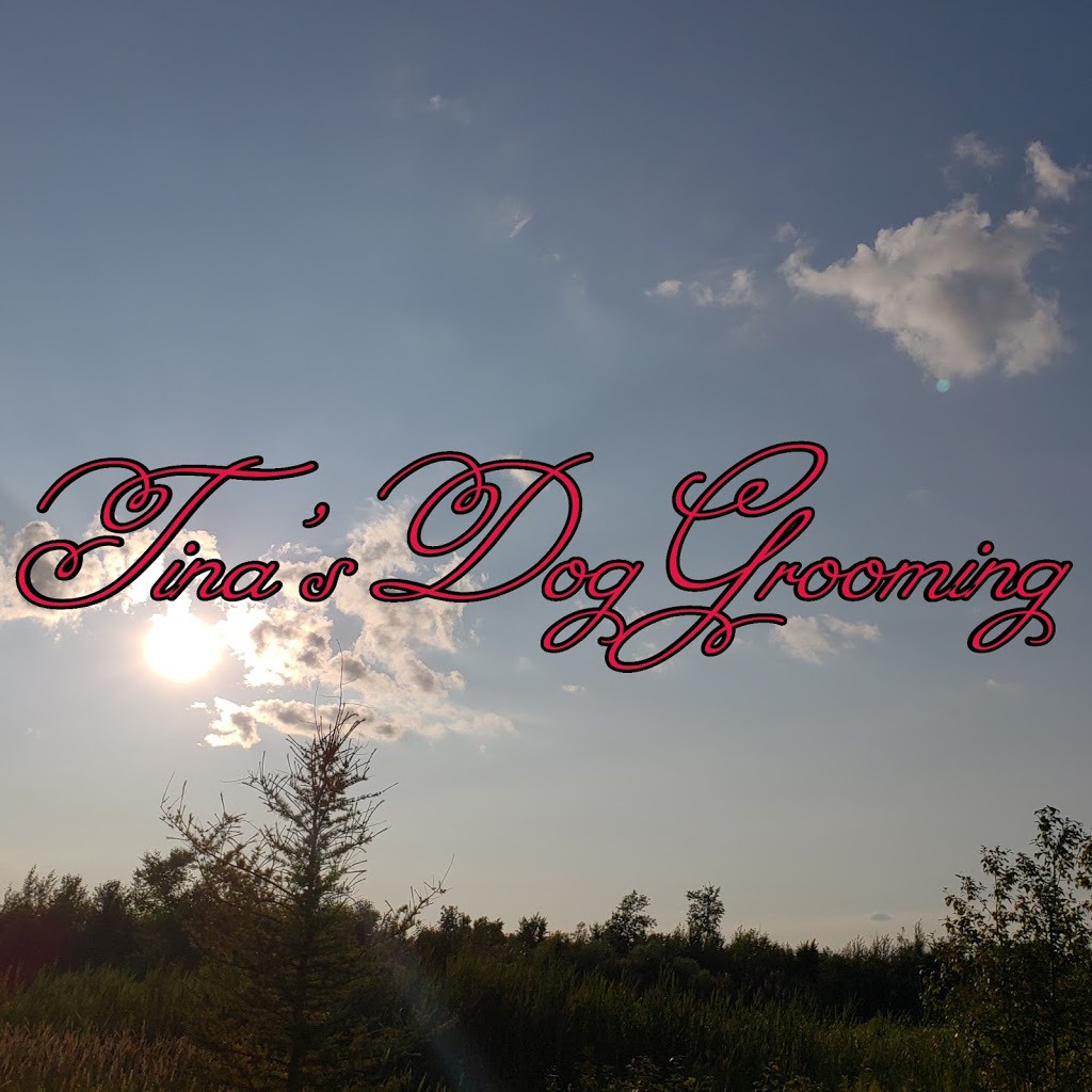 Tinas Dog Grooming Salon | 401 Dissette St, Bradford, ON L3Z 3G9, Canada | Phone: (905) 713-4667