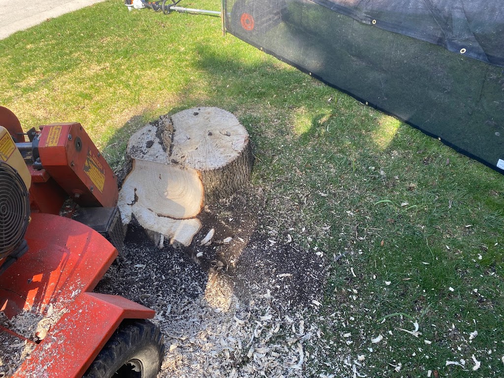 Dynamic Stump Grinding | 9 Dietz St, Mildmay, ON N0G 2J0, Canada | Phone: (204) 939-3371