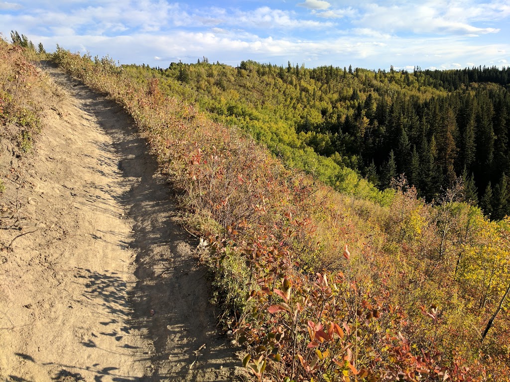 Fish Creek Provincial Park: Shaws Meadow | 114 R Shawnee Pl SW, Calgary, AB T2Y 1X1, Canada | Phone: (403) 297-5293