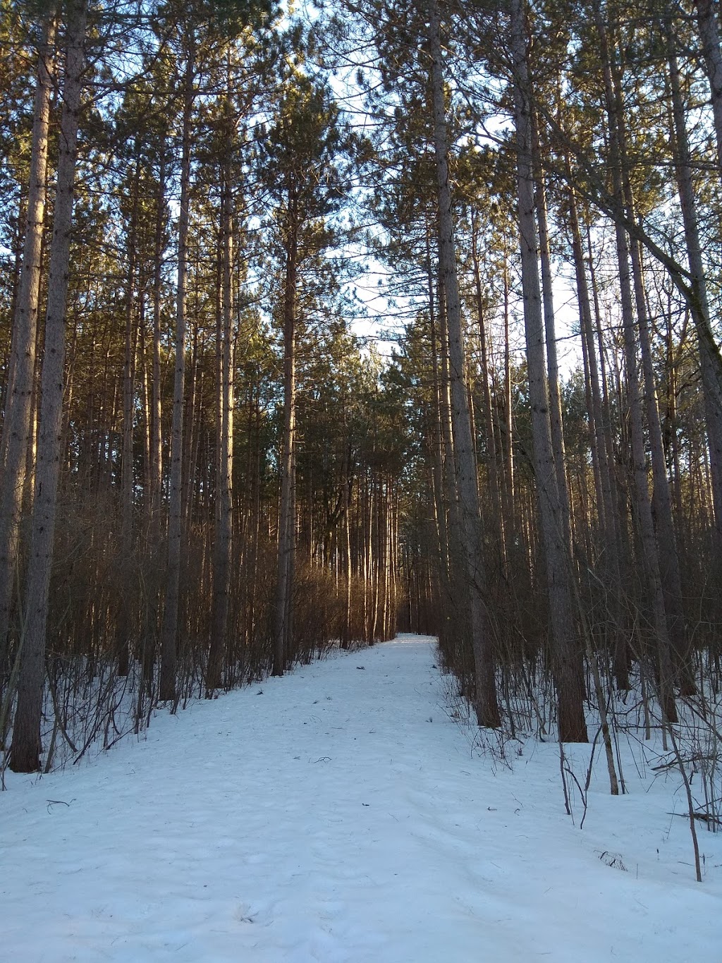 NCC Greenbelt P16 | Greenbelt Pathway, Ottawa, ON K1T, Canada