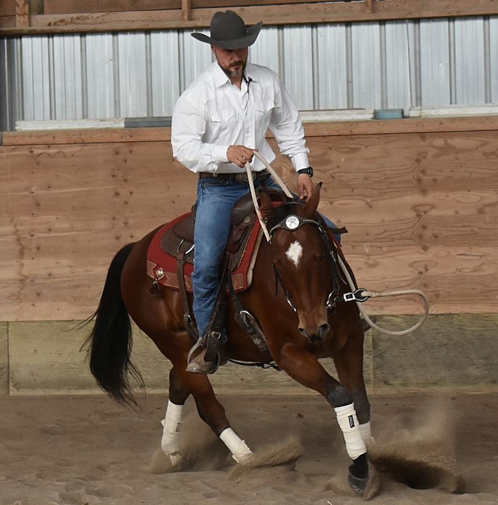 Russ Krachun Kozak Horsemanship | 906 Moneymore Rd, Roslin, ON K0K 2Y0, Canada | Phone: (613) 242-9971