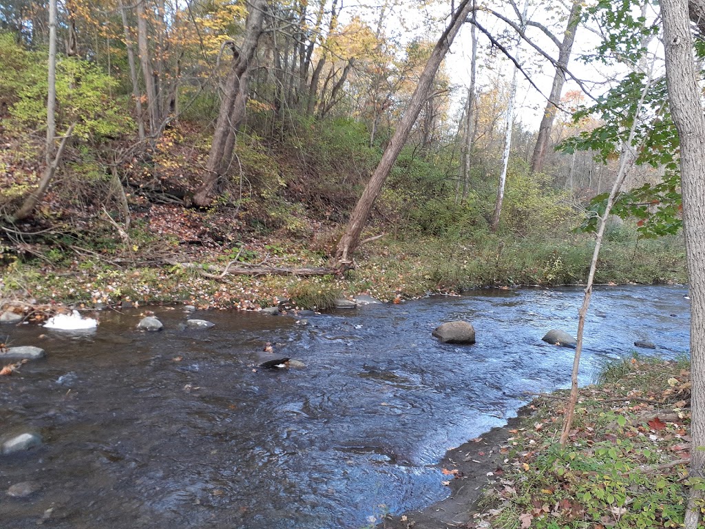 Creation Walk Nature Trail | 1400 Two Rod Rd, Marilla, NY 14102, USA | Phone: (716) 652-7429