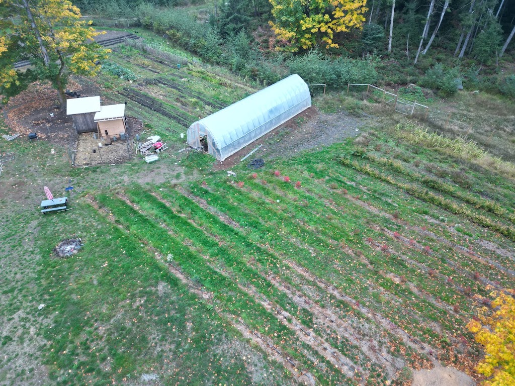 Fruition Farm | 247 Jones Farm Rd #312, Quathiaski Cove, BC V0P 1N0, Canada | Phone: (778) 400-5657