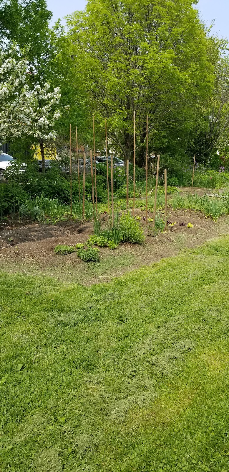 Oakvale Green Community Gardens | 77 Oakvale Ave, Toronto, ON M4J 1J1, Canada | Phone: (416) 338-4386