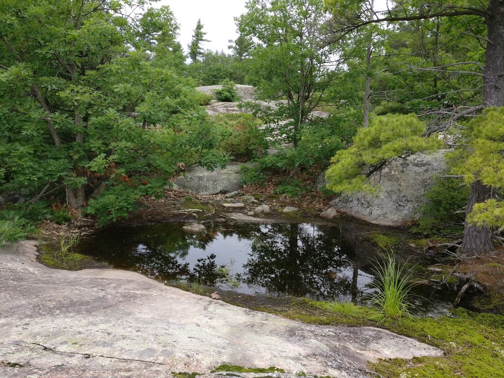 Georgian Bay Islands National Park | 2611 Honey Harbour Road, Honey Harbour, ON P0E 1E0, Canada | Phone: (705) 527-7200