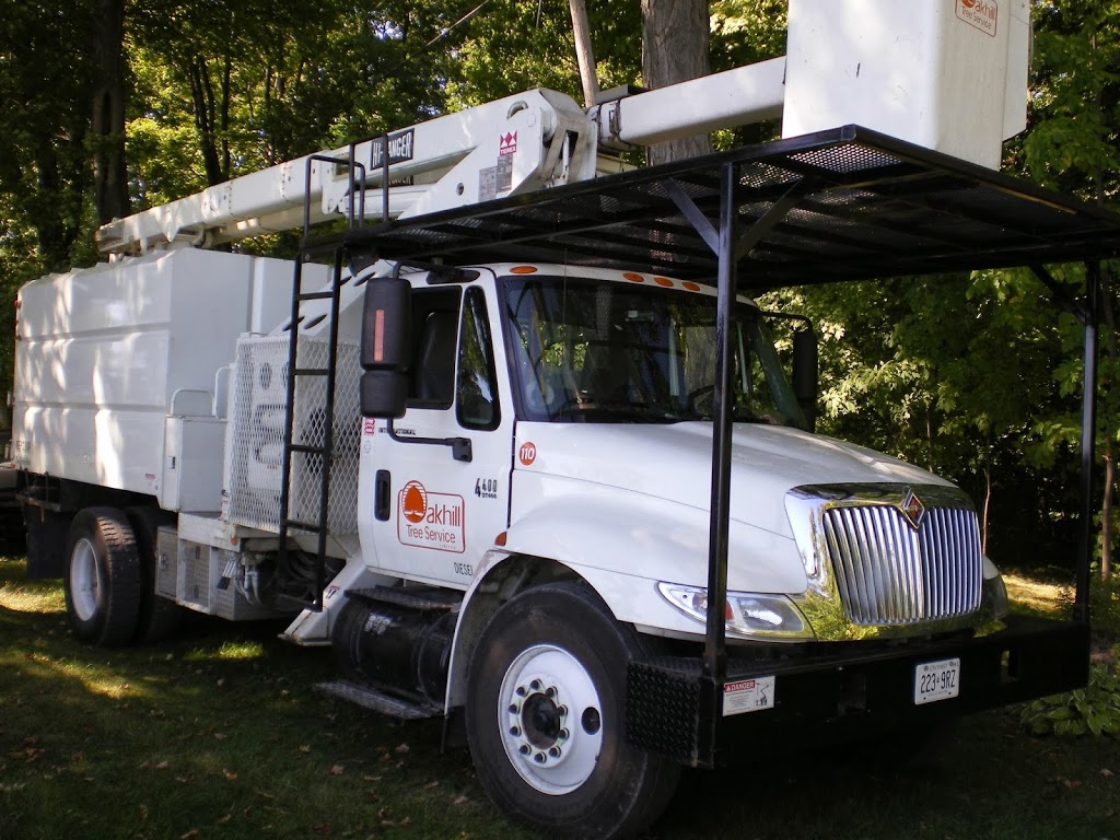 Oakhill Tree Service Ltd. | 40 Helen Ave, Brantford, ON N3T 6A1, Canada | Phone: (519) 751-3483