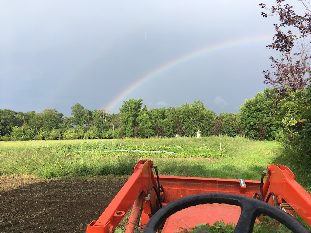 Rhizome Farms | 1699 Third Street Louth, St. Catharines, ON L2R 6P9, Canada | Phone: (905) 329-3256