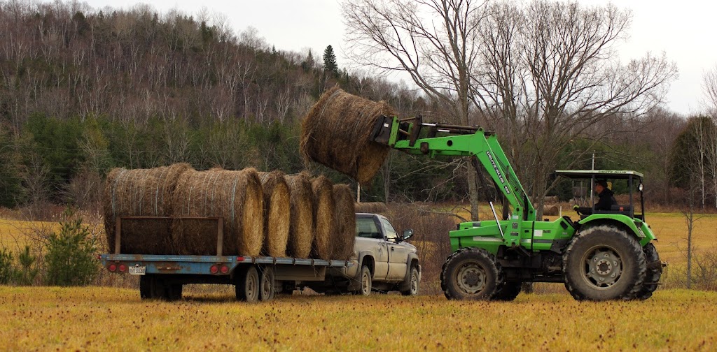 Ferme Sage | 157 Chem. Sage, Lac-Sainte-Marie, QC J0X 1Z0, Canada | Phone: (819) 467-2979