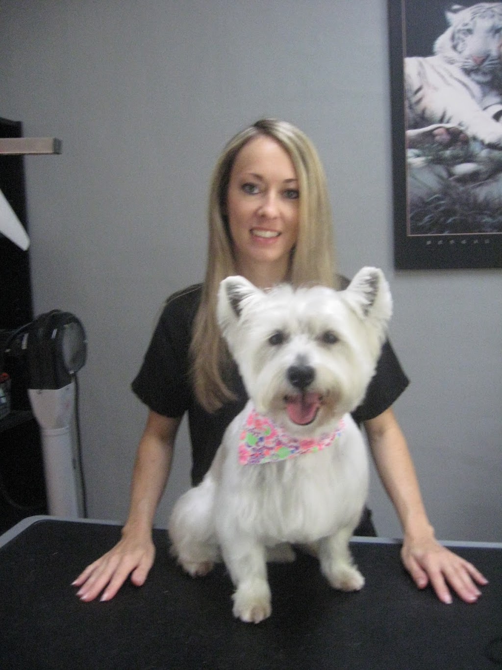 The Pampered Pooch | 493 Main St S, Exeter, ON N0M 1S1, Canada | Phone: (519) 235-6191