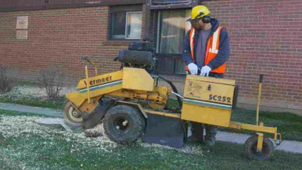 Easy Stump Removal | 10 Strollers Ln, Cheltenham, ON L7C 2B1, Canada | Phone: (905) 749-0905