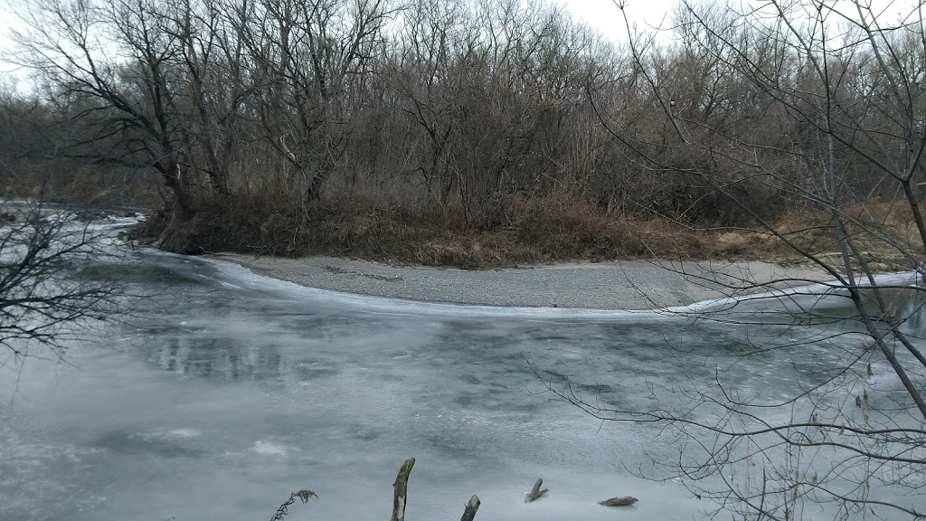 Stevenson Swamp | 6 Holmcrest Trail, Scarborough, ON M1C 1V5, Canada