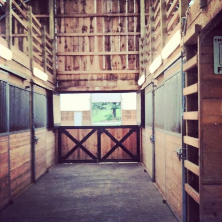 Allbright Equestrian Centre | 563 Allbright Rd, Uxbridge, ON L9P 1R4, Canada | Phone: (905) 556-0626