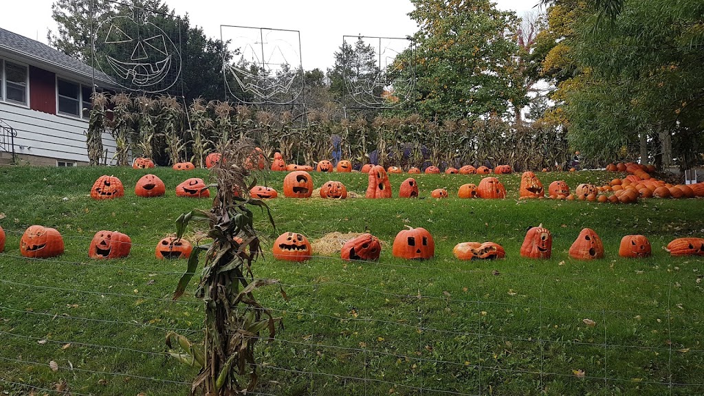 Howell Family Pumpkin Farm | 2878 Holland Rd, Fonthill, ON L0S 1E6, Canada | Phone: (905) 892-3918