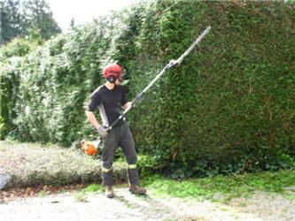 Pacific West Tree Service | 1990 W 1st St, North Vancouver, BC V7P 4V7, Canada | Phone: (604) 980-8334