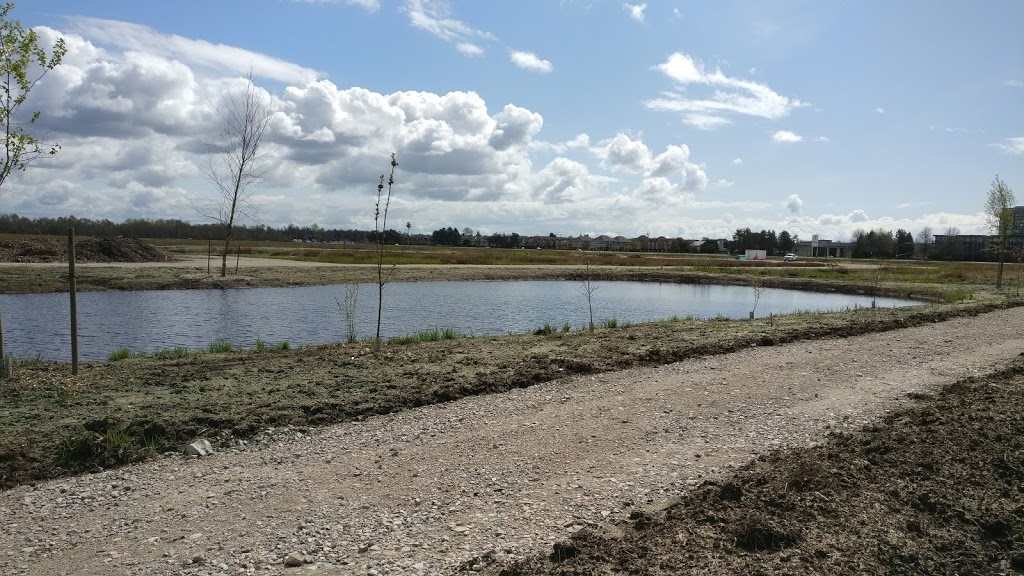 Garden City Lands: Community Farm and Bog Preservation Area | Garden City Rd, Richmond, BC V6X 4H9, Canada