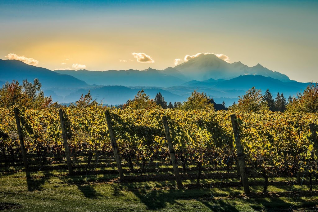 Mt Lehman Winery | 5094 Mount Lehman Rd, Abbotsford, BC V4X 1Y3, Canada | Phone: (604) 746-2881