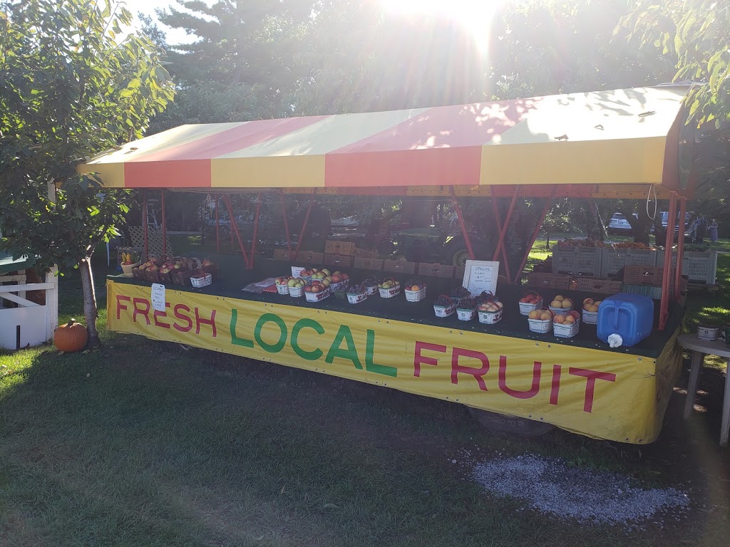 Local Menonite Fruit and Legumes | 1023 East and West Line, Niagara-on-the-Lake, ON L0S 1J0, Canada