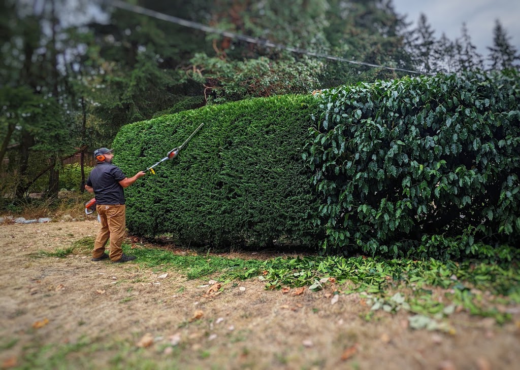 Grow Pro Landscaping | 6 Rosamond St, Nanaimo, BC V9R 1R3, Canada | Phone: (250) 713-9248