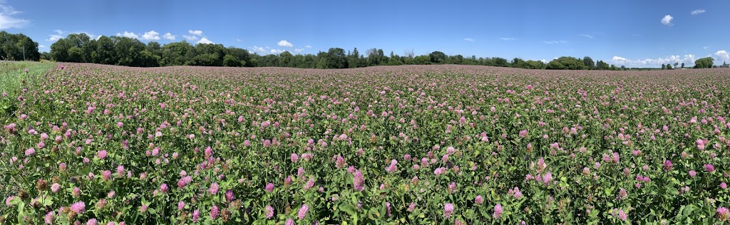 Hudsons Farm Fresh Produce | 2831 Upper Dwyer Hill Rd, Kinburn, ON K0A 2H0, Canada | Phone: (613) 839-2346