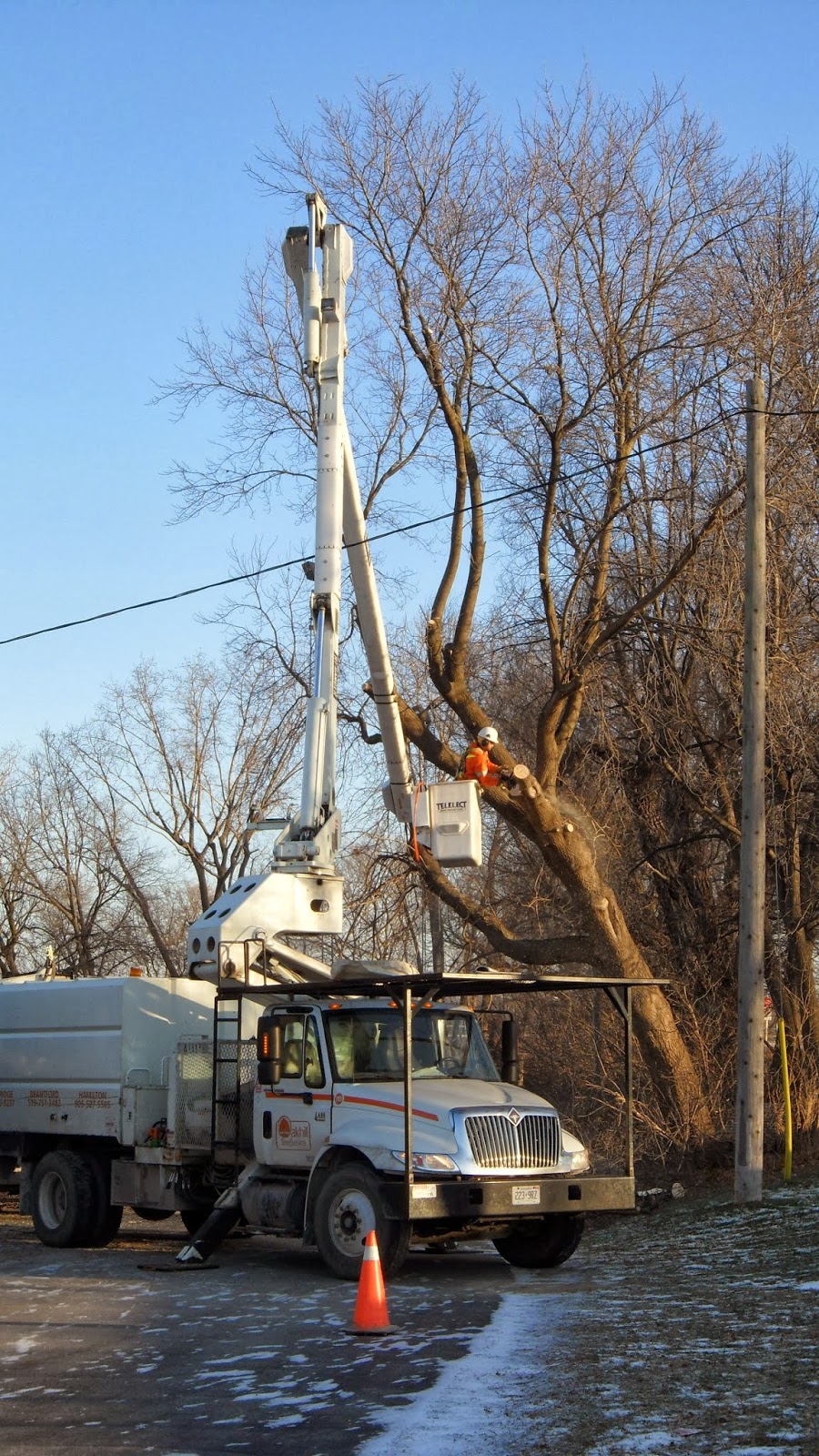 Oakhill Tree Service Ltd. | 40 Helen Ave, Brantford, ON N3T 6A1, Canada | Phone: (519) 751-3483