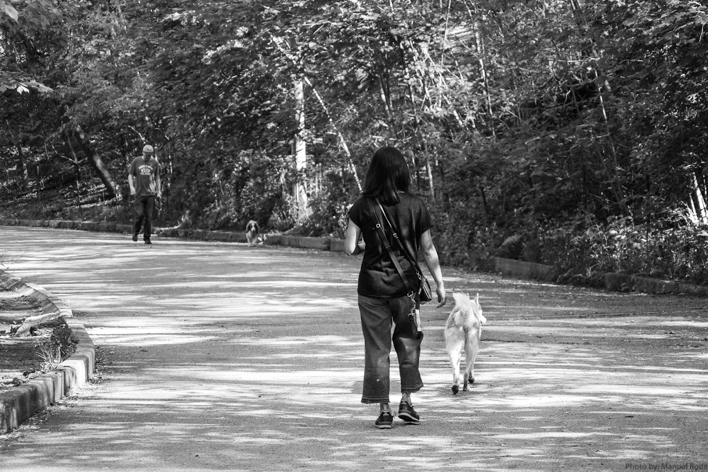 Dog Hill | Allotment Ln, Toronto, ON M6R, Canada