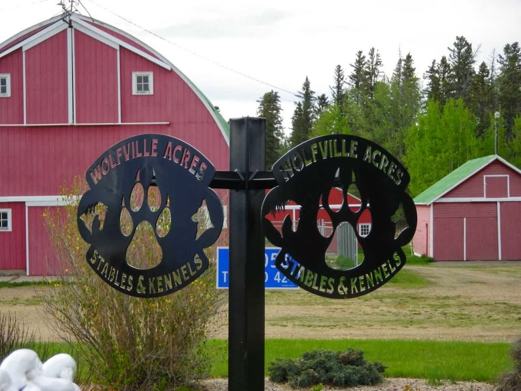 Wolfville Acres Stables & Kennels | 274052 TWP RD 424, Ponoka County, AB T4J 1R3, Canada | Phone: (403) 783-2900