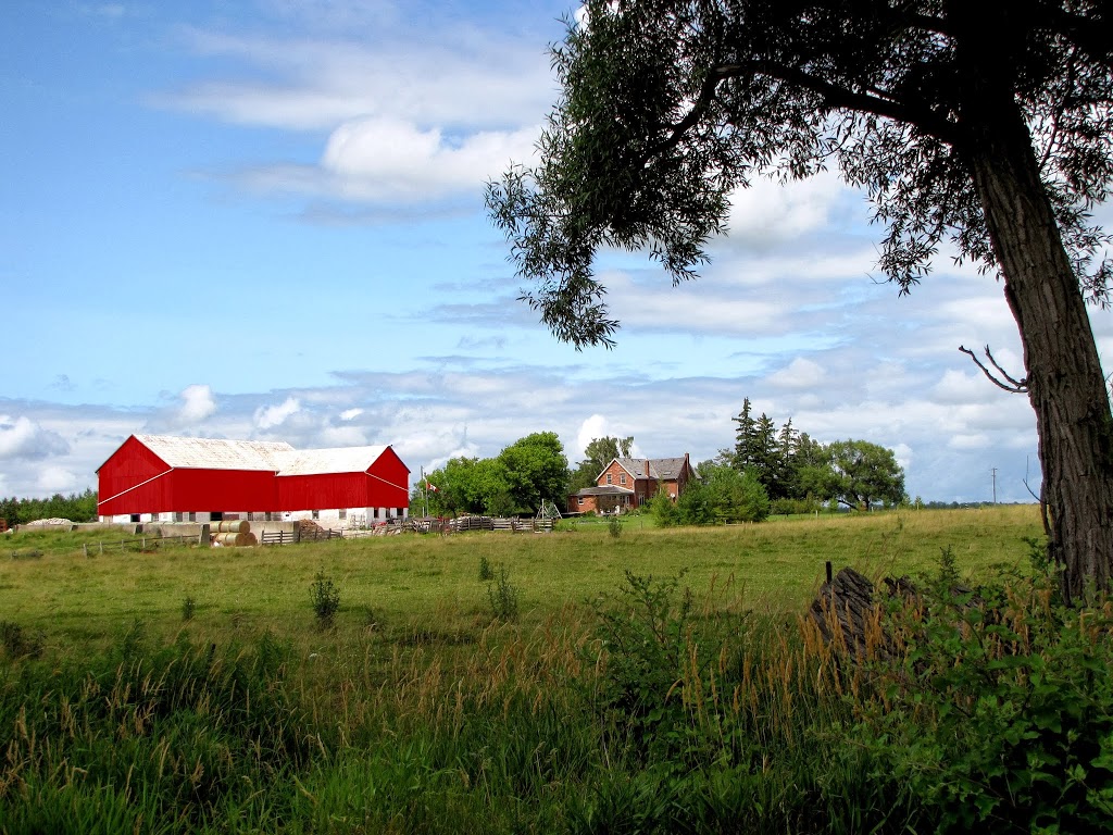 Eatwell Foods at Duenk Farms | Denfield, ON N0M 1P0, Canada | Phone: (519) 232-4105