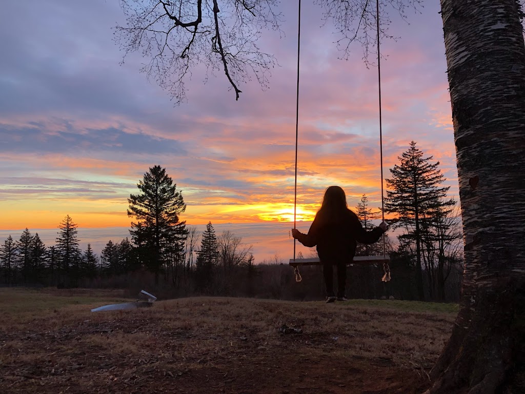 Sunset Swing | Harvest Drive, Abbotsford, BC V3G 1L2, Canada | Phone: (604) 854-0246