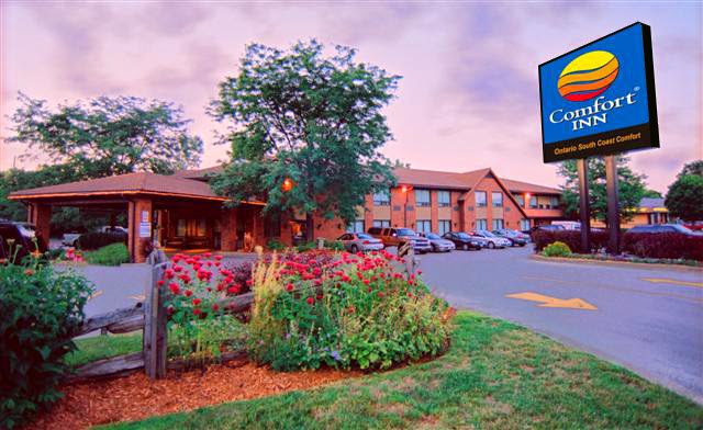 Comfort Inn Simcoe | 85 Queensway East, Simcoe, ON N3Y 4M6, Canada | Phone: (519) 426-2611