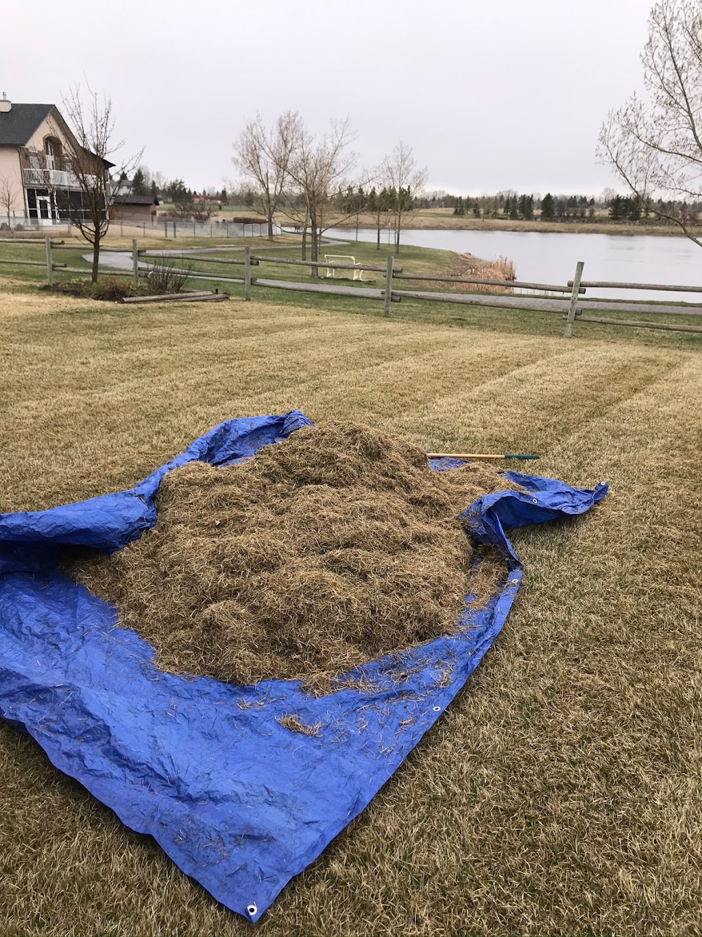 Cals lawn maintenance | 917 17 St SE, High River, AB T1V 1P8, Canada | Phone: (403) 422-0600