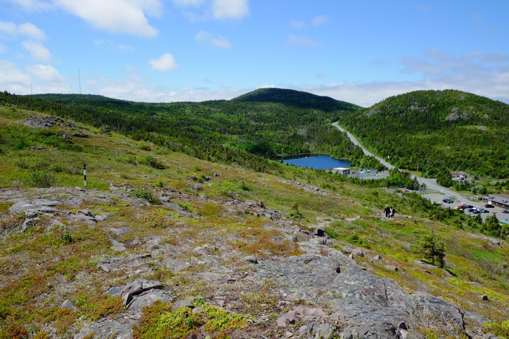 East Coast Trail | Logy Bay-Middle Cove-Outer Cove, NL A1A 5V5, Canada